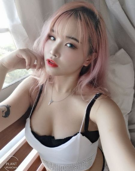 求黄网
