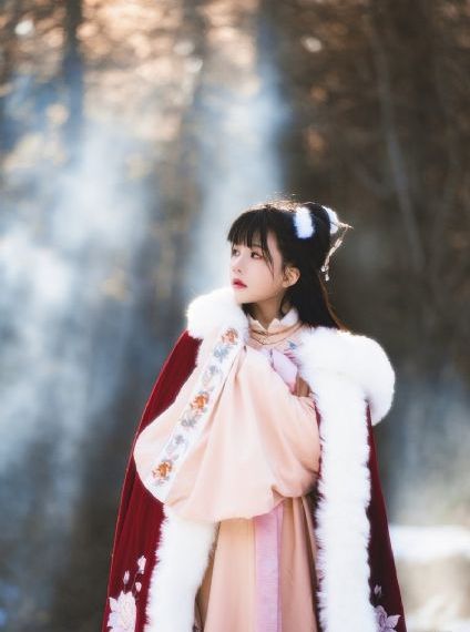 双子神偷